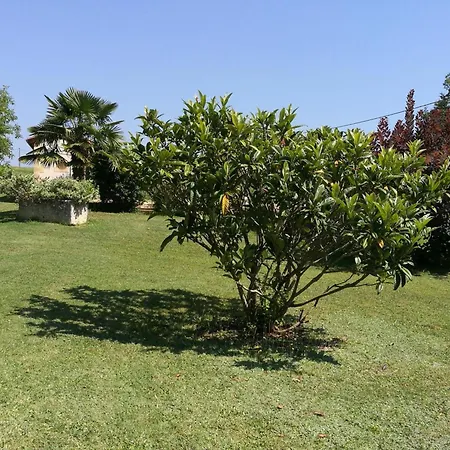 Maison Perigourdine Avec Piscine, Cheminee, Wifi, Parking, Animaux Admis - Fr-1-616-75