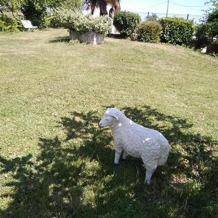 Maison Perigourdine Avec Piscine Et Animaux Acceptes A - Fr-1-616-75 * Daglan